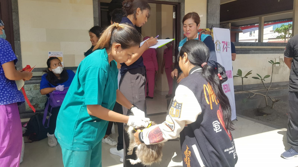 Kegiatan Vaksinasi Rabies di Desa Dalung